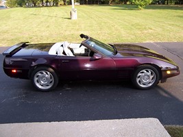 1993 Black Rose White Interior Corvette Images